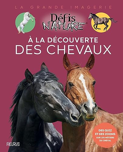 A la découverte des chavaux